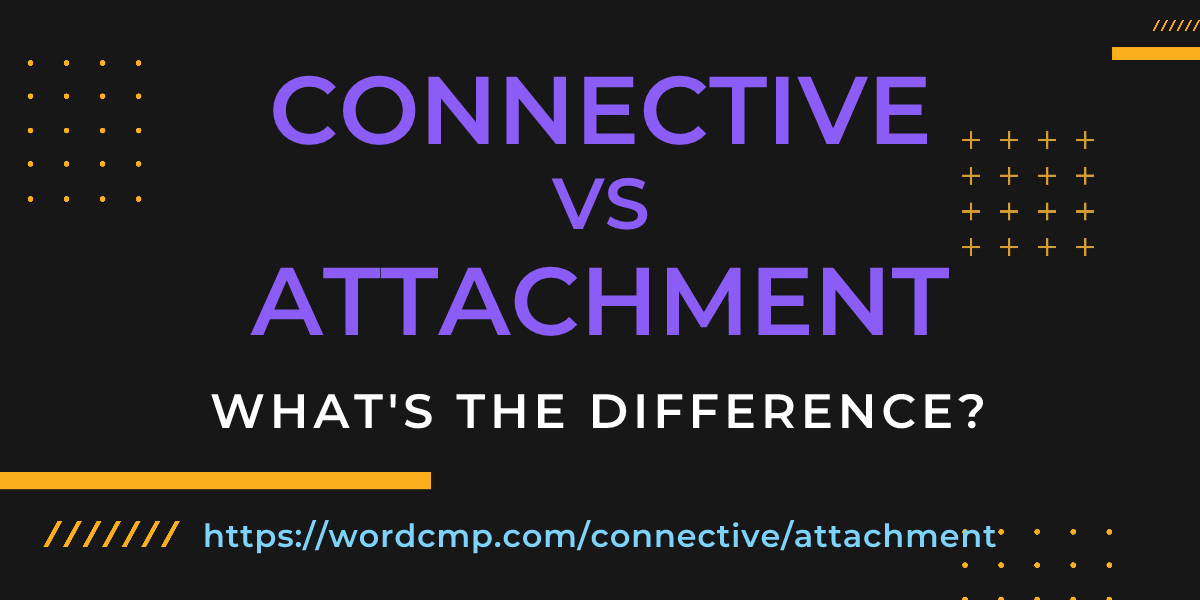 Difference between connective and attachment