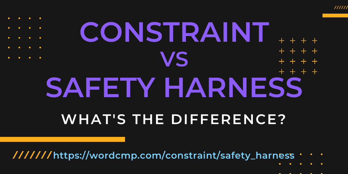 Difference between constraint and safety harness