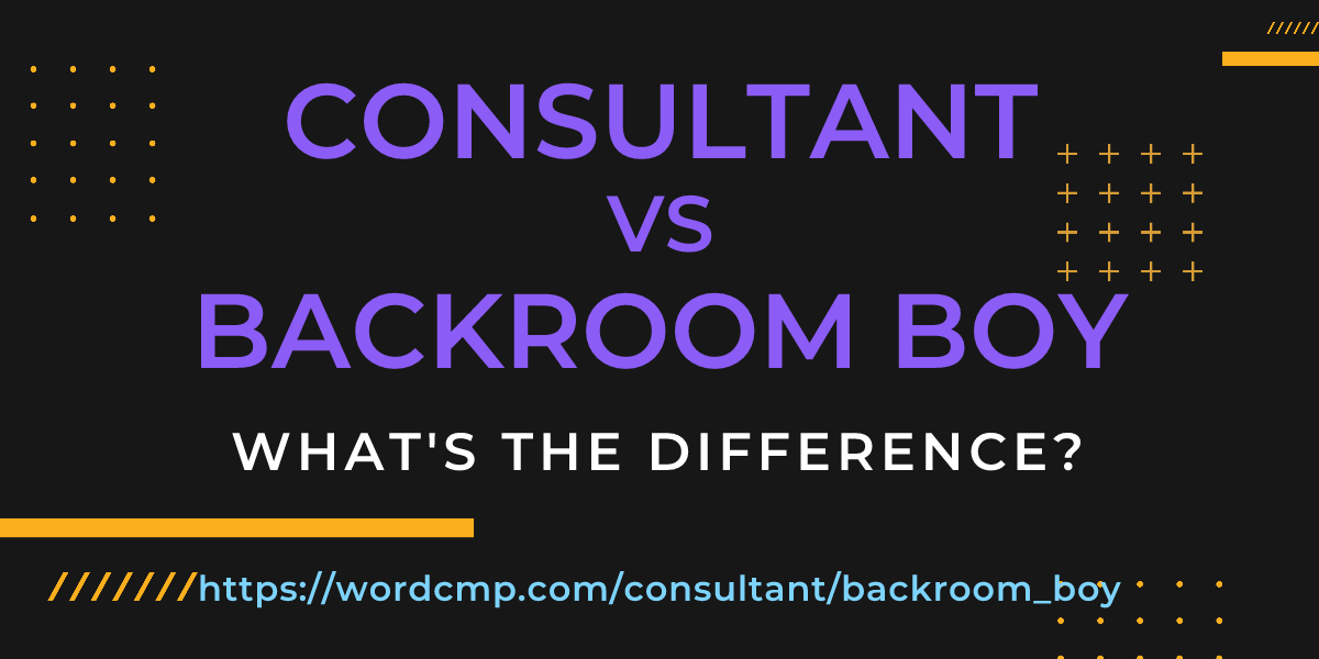 Difference between consultant and backroom boy