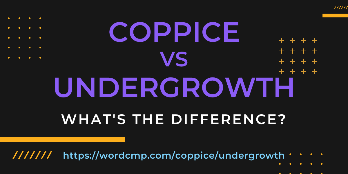 Difference between coppice and undergrowth