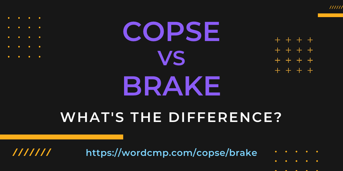 Difference between copse and brake