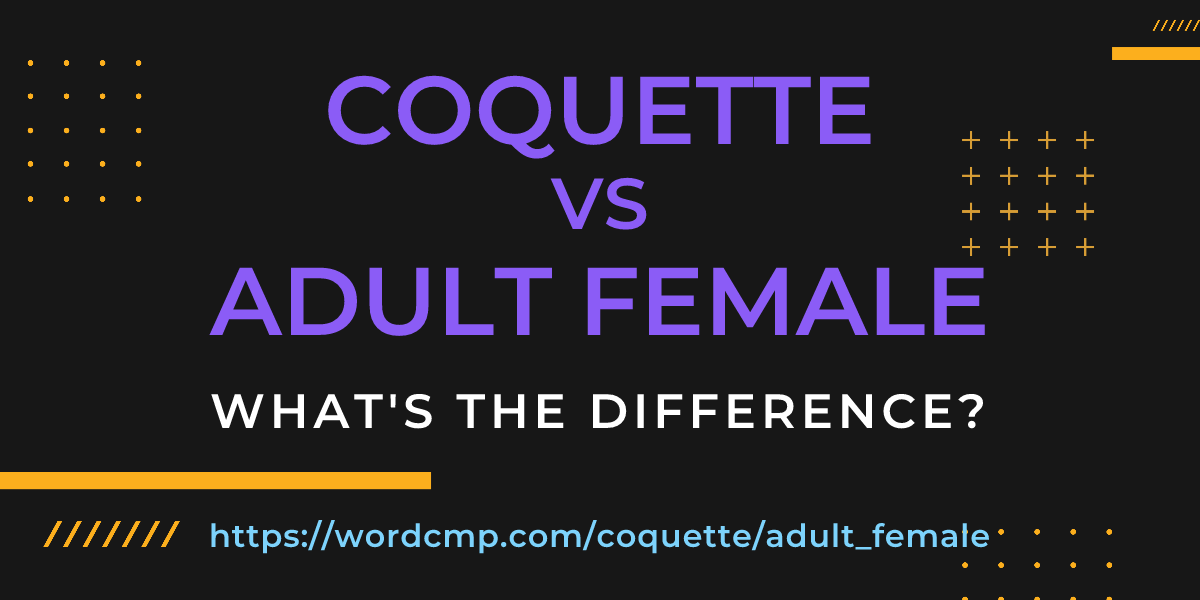 Difference between coquette and adult female