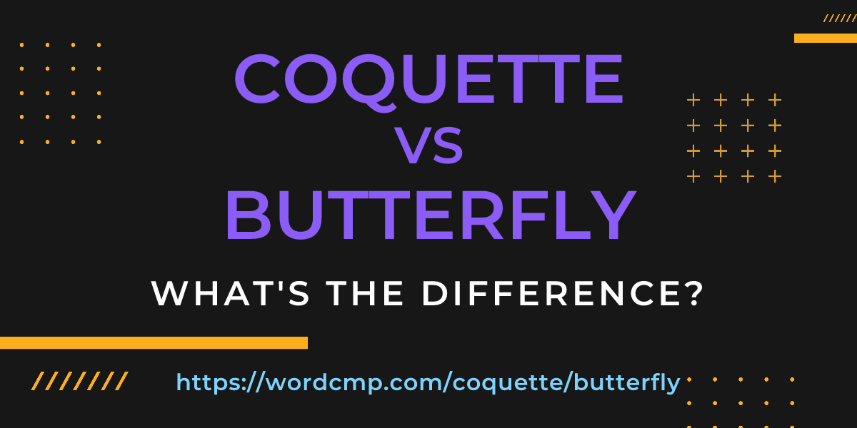 Difference between coquette and butterfly