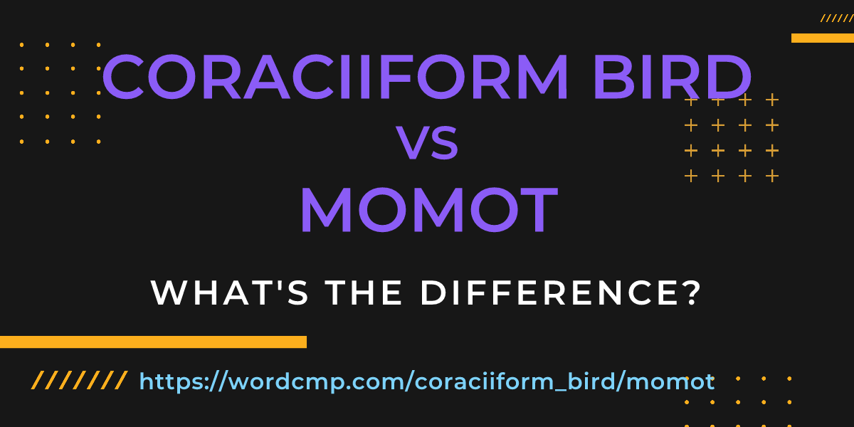 Difference between coraciiform bird and momot
