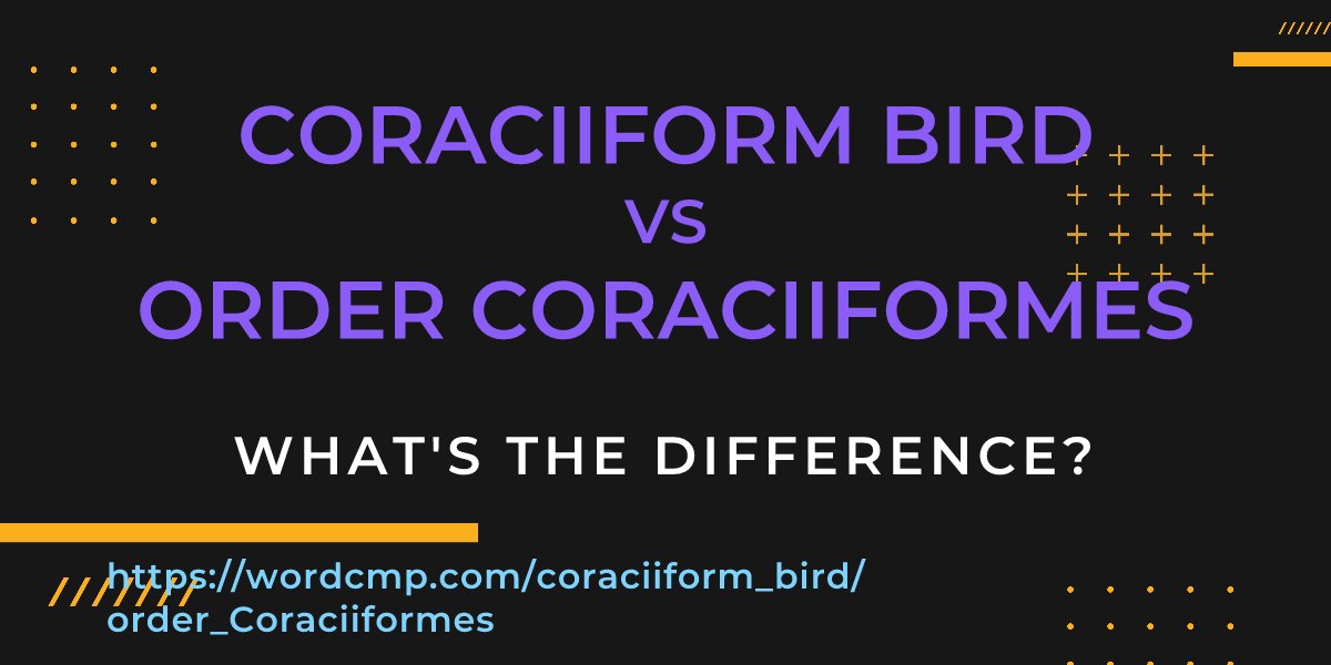 Difference between coraciiform bird and order Coraciiformes