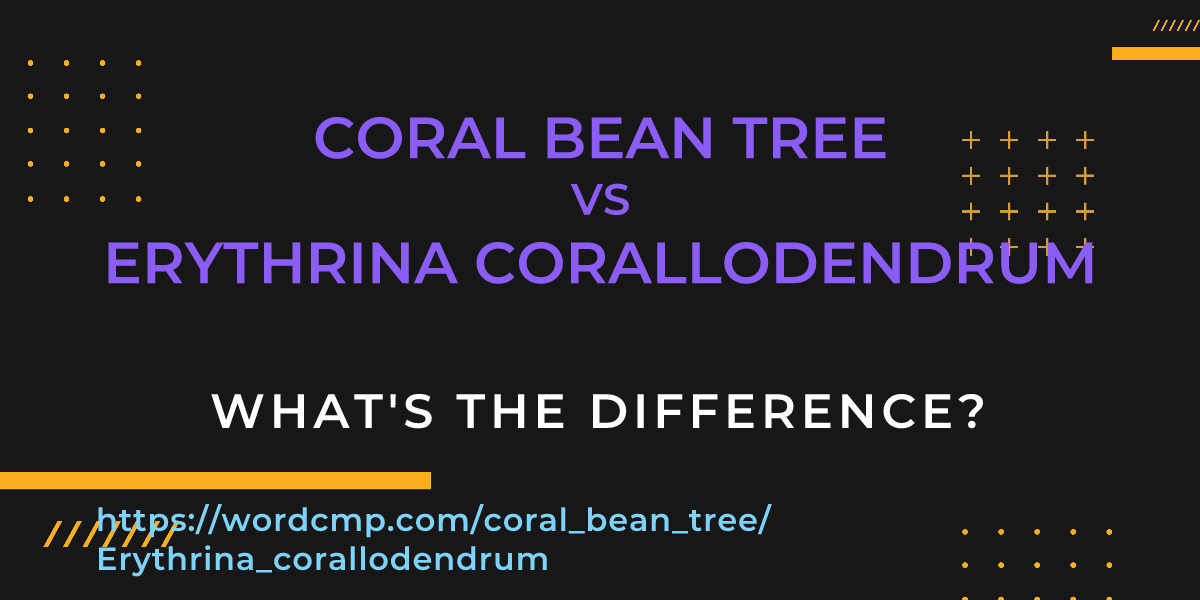 Difference between coral bean tree and Erythrina corallodendrum