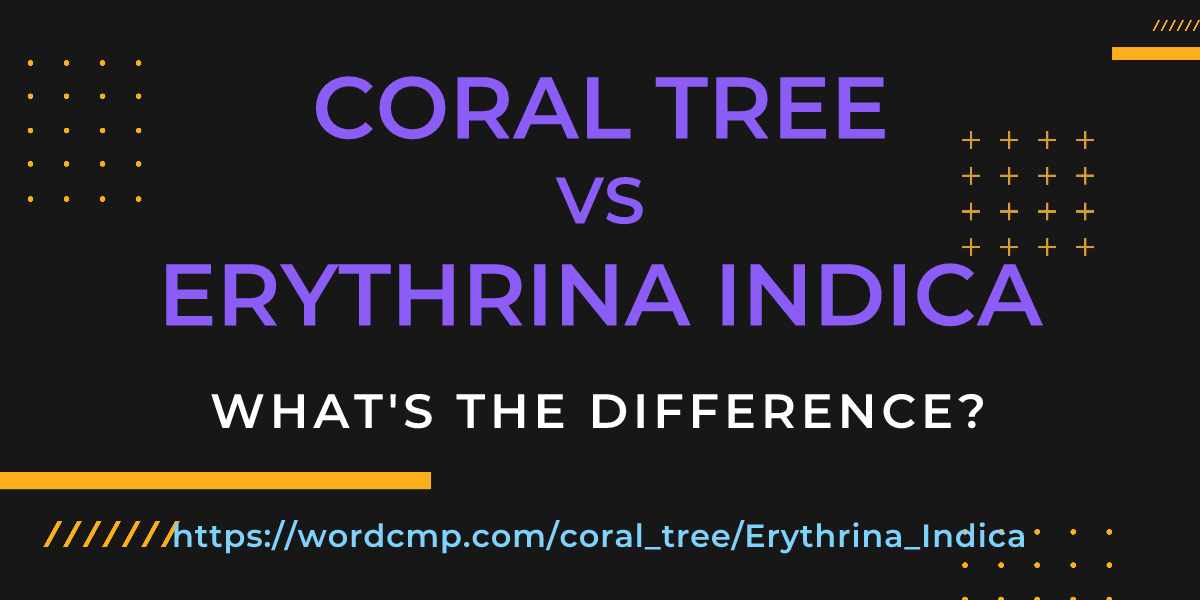 Difference between coral tree and Erythrina Indica