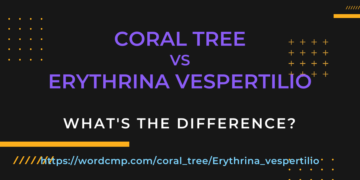 Difference between coral tree and Erythrina vespertilio