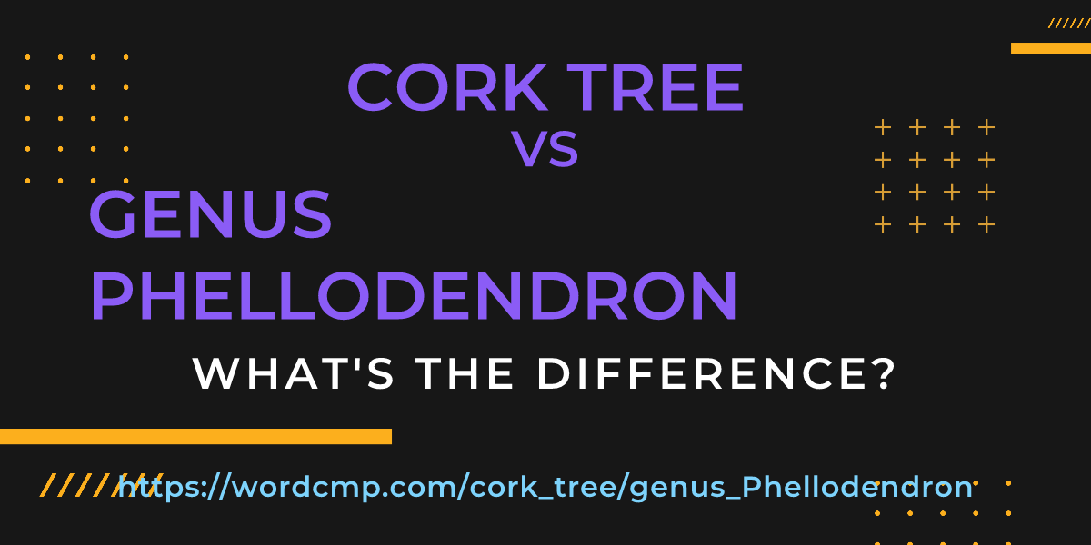 Difference between cork tree and genus Phellodendron