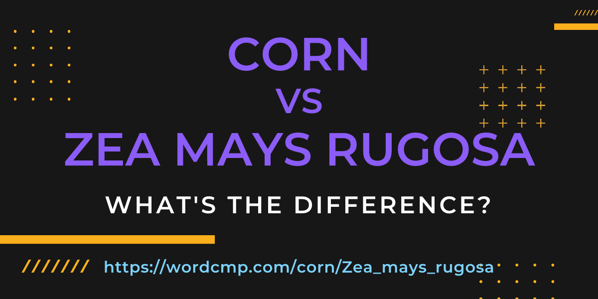 Difference between corn and Zea mays rugosa