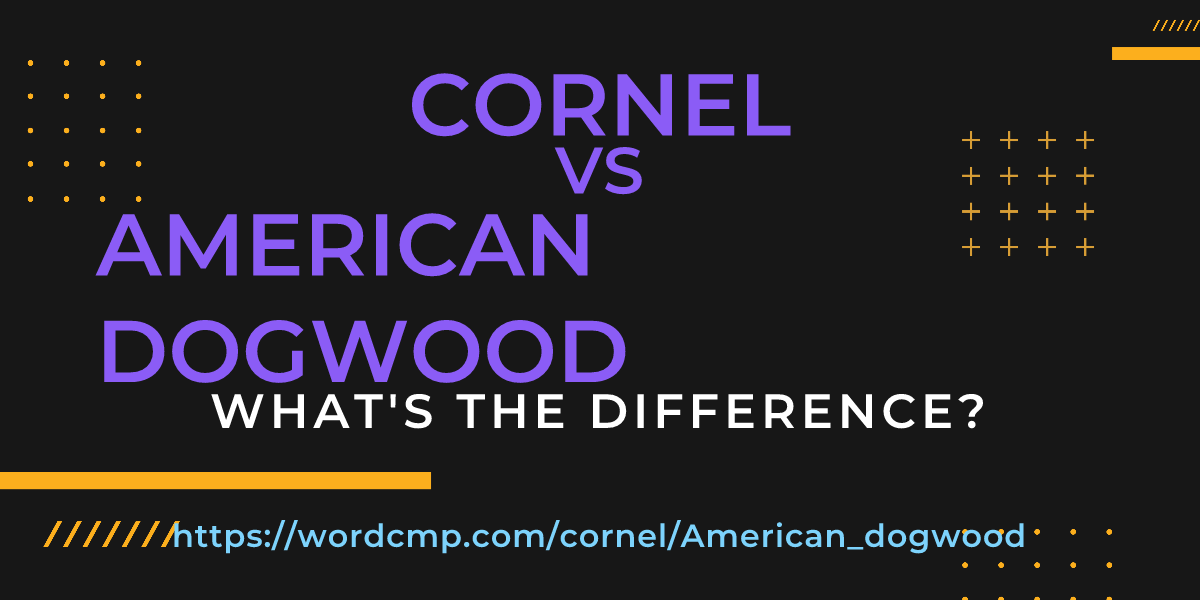 Difference between cornel and American dogwood