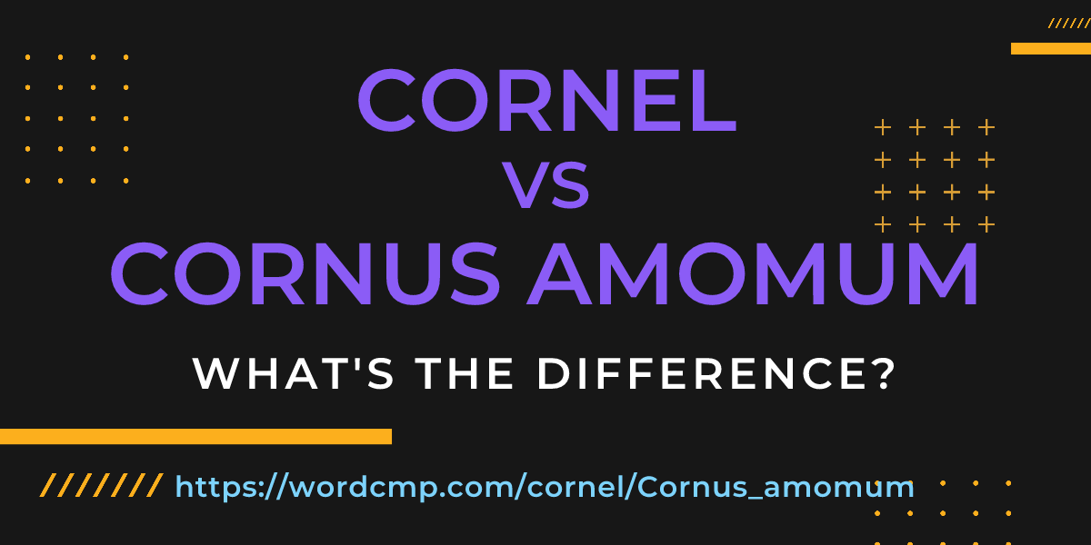 Difference between cornel and Cornus amomum