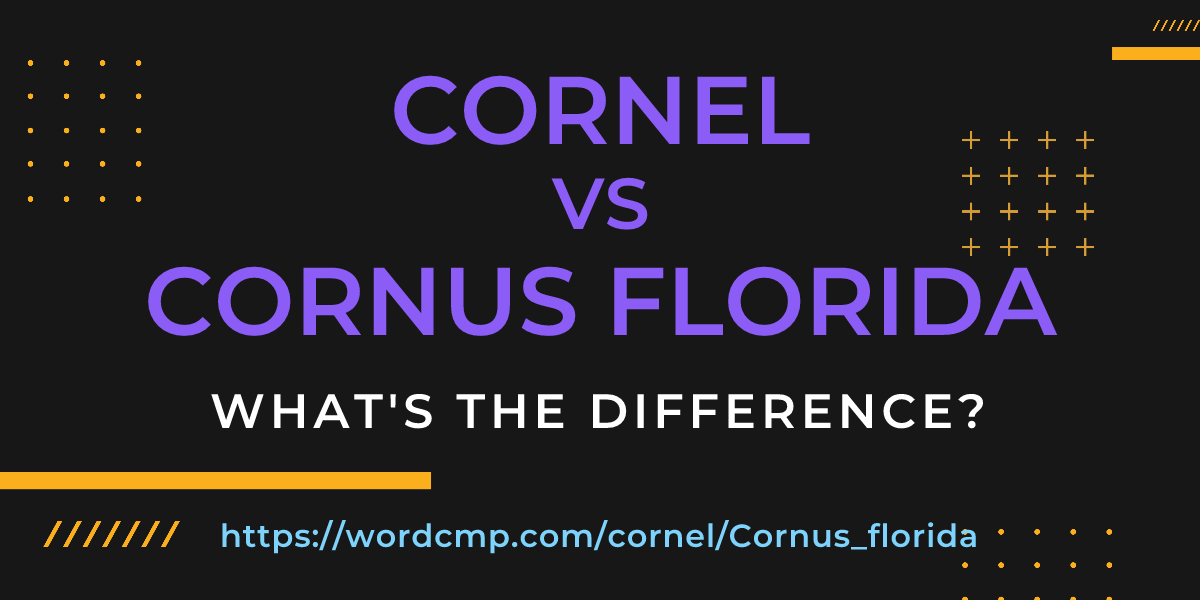Difference between cornel and Cornus florida