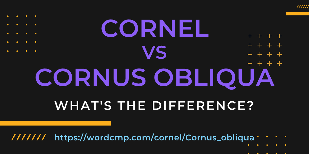 Difference between cornel and Cornus obliqua