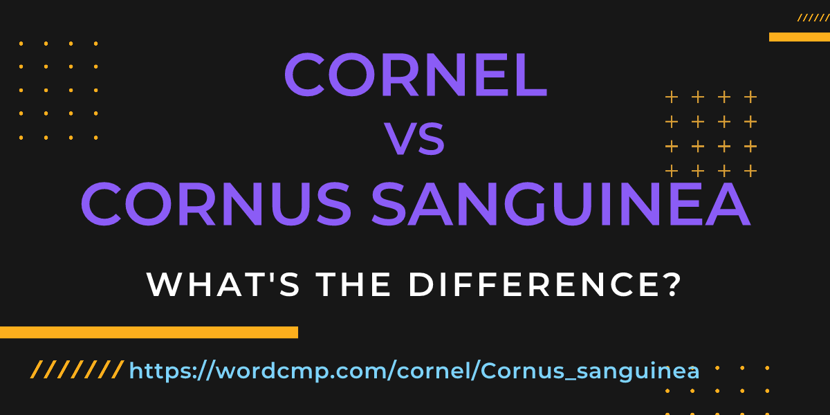 Difference between cornel and Cornus sanguinea