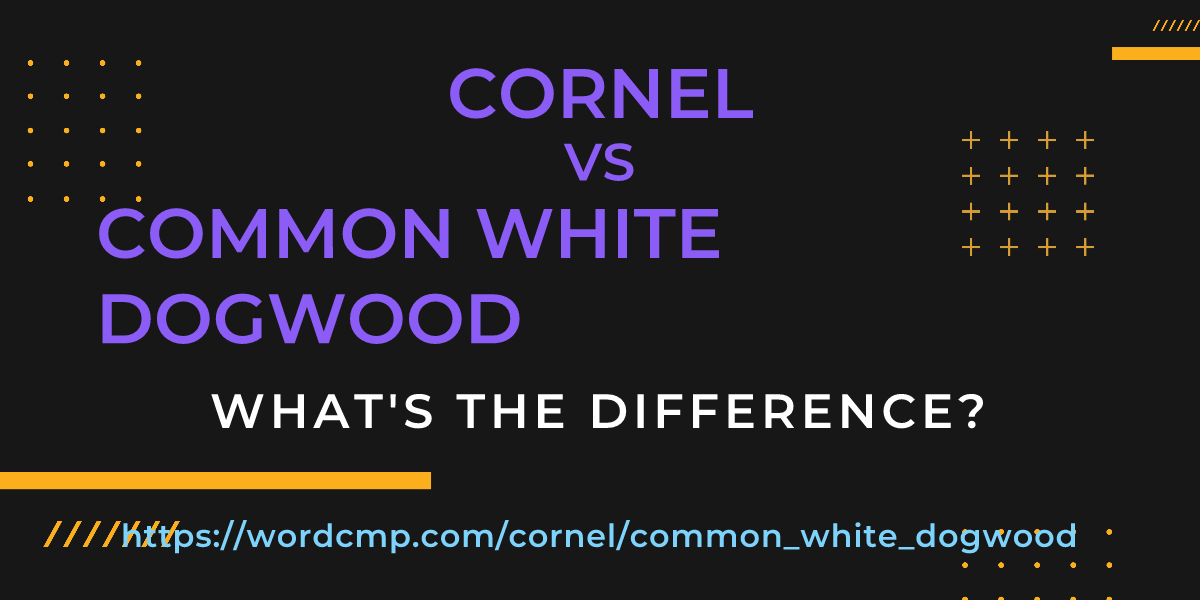 Difference between cornel and common white dogwood