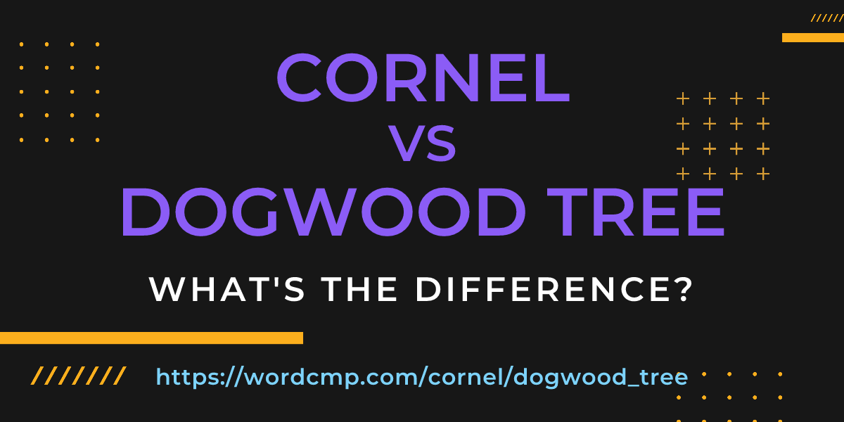 Difference between cornel and dogwood tree