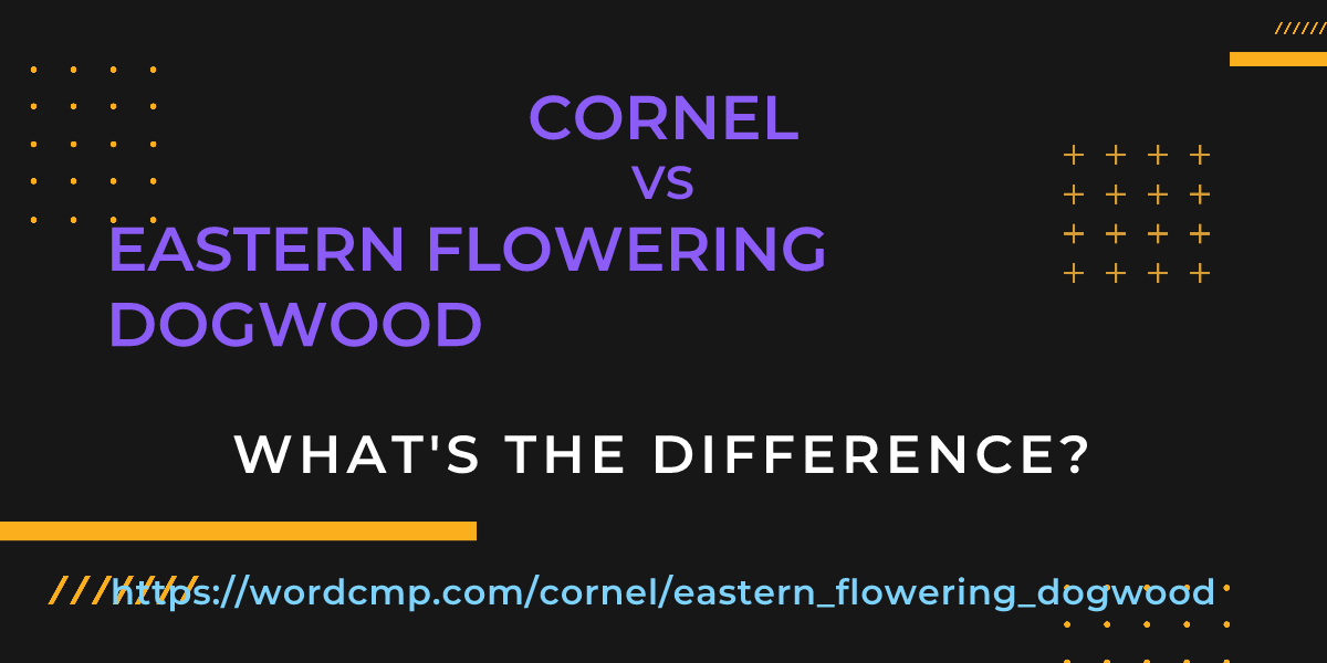 Difference between cornel and eastern flowering dogwood