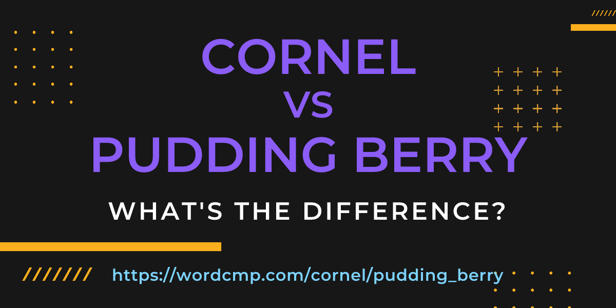 Difference between cornel and pudding berry