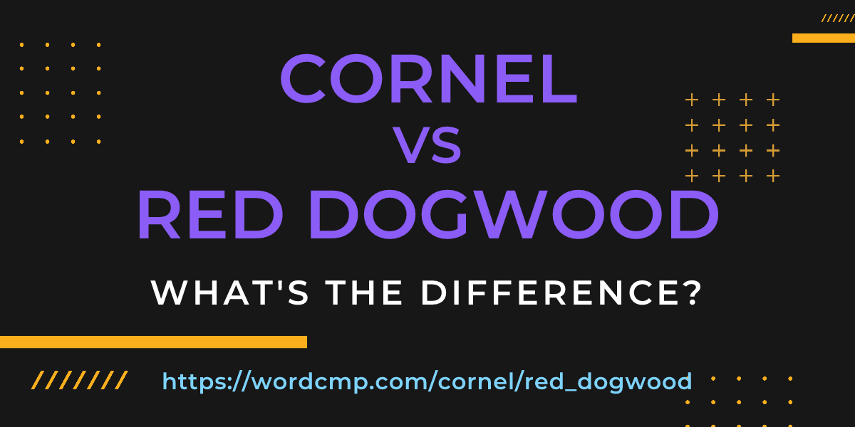 Difference between cornel and red dogwood