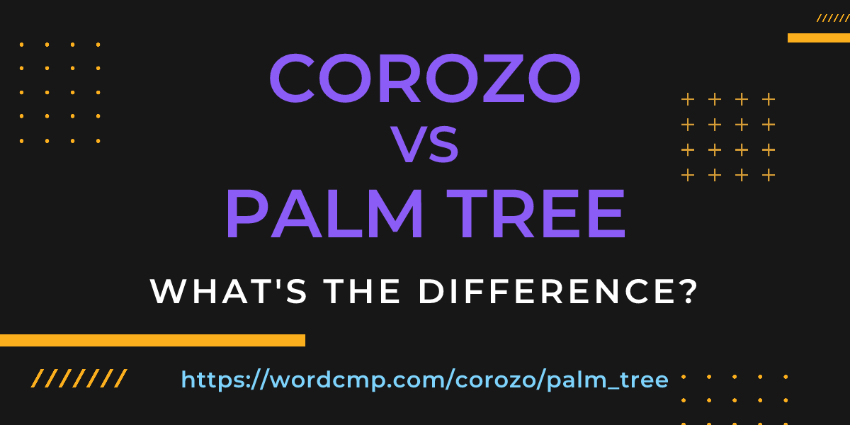 Difference between corozo and palm tree