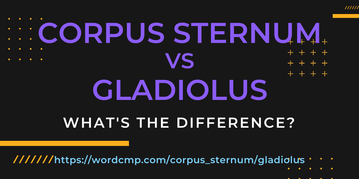 Difference between corpus sternum and gladiolus