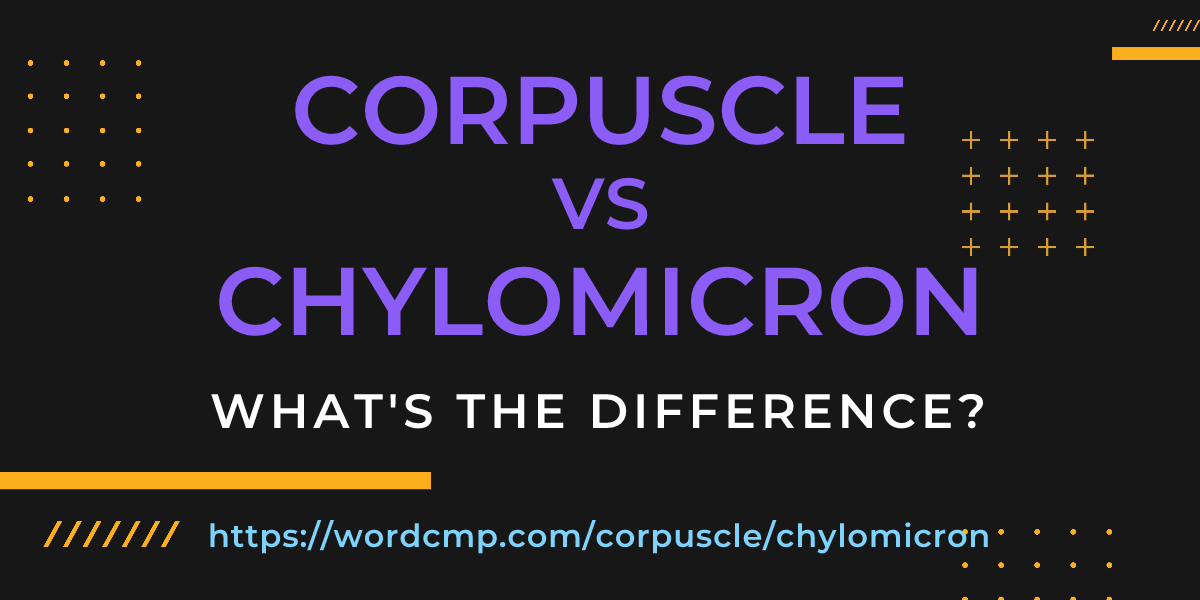 Difference between corpuscle and chylomicron