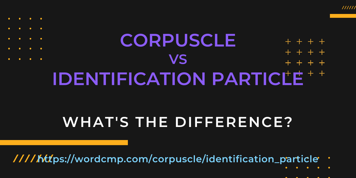Difference between corpuscle and identification particle