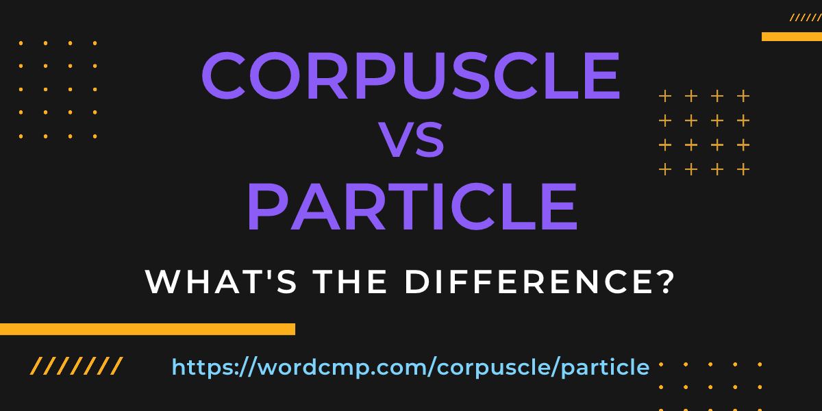 Difference between corpuscle and particle