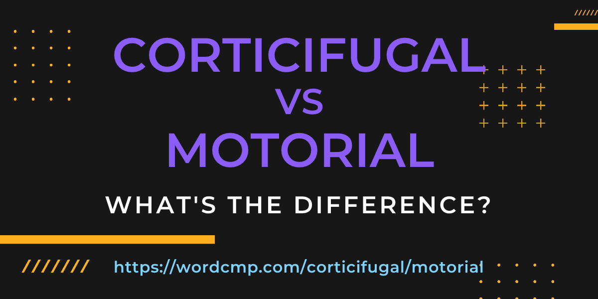 Difference between corticifugal and motorial