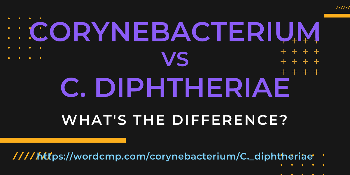 Difference between corynebacterium and C. diphtheriae