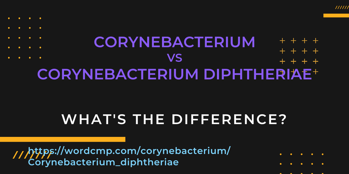 Difference between corynebacterium and Corynebacterium diphtheriae