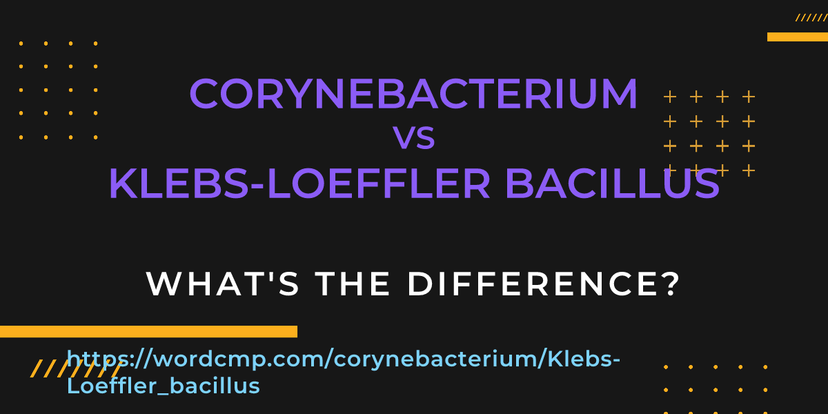 Difference between corynebacterium and Klebs-Loeffler bacillus