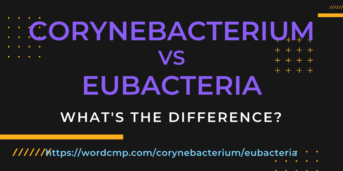 Difference between corynebacterium and eubacteria