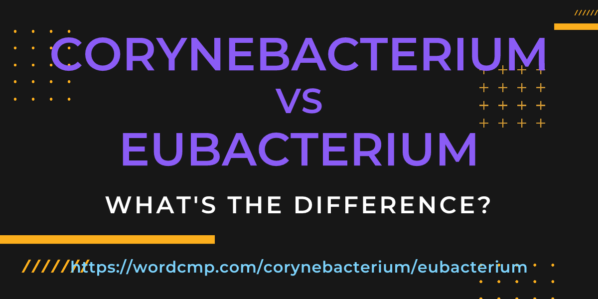 Difference between corynebacterium and eubacterium