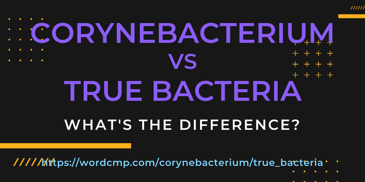 Difference between corynebacterium and true bacteria