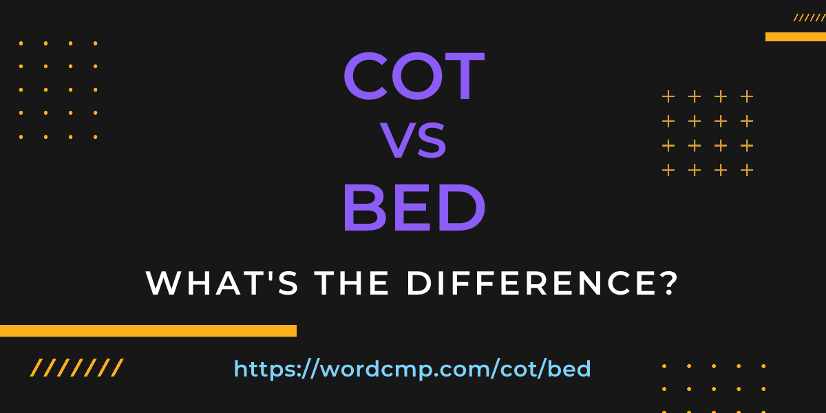 Difference between cot and bed