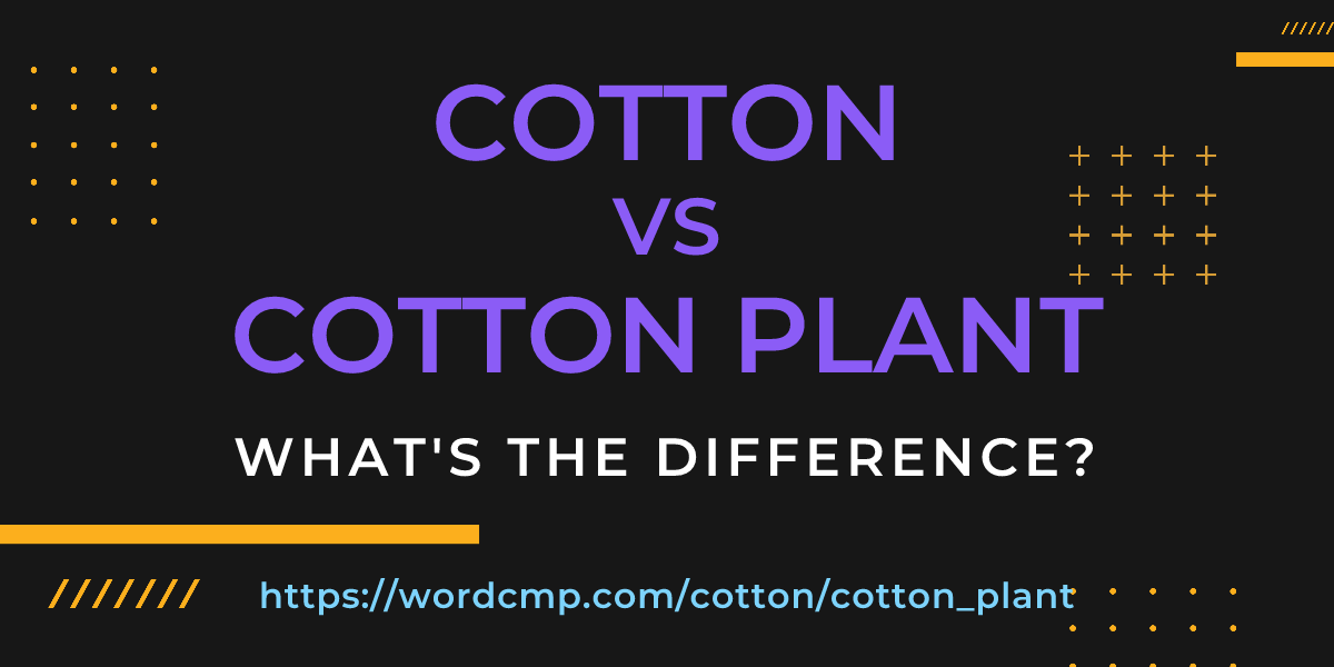 Difference between cotton and cotton plant