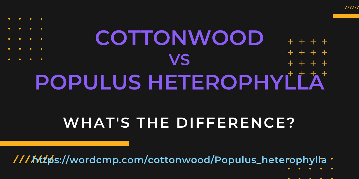 Difference between cottonwood and Populus heterophylla