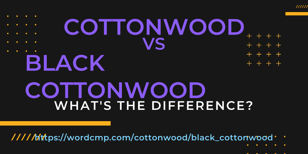 Difference between cottonwood and black cottonwood