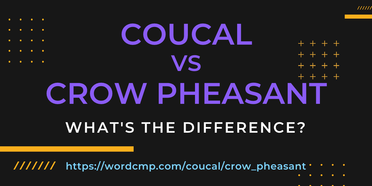 Difference between coucal and crow pheasant