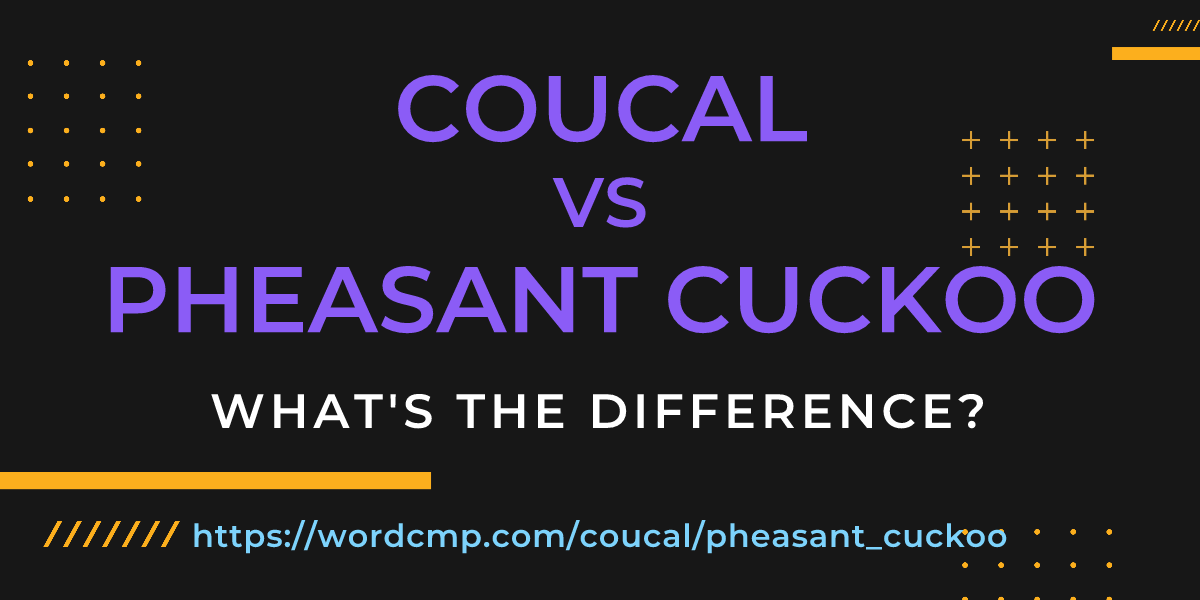 Difference between coucal and pheasant cuckoo