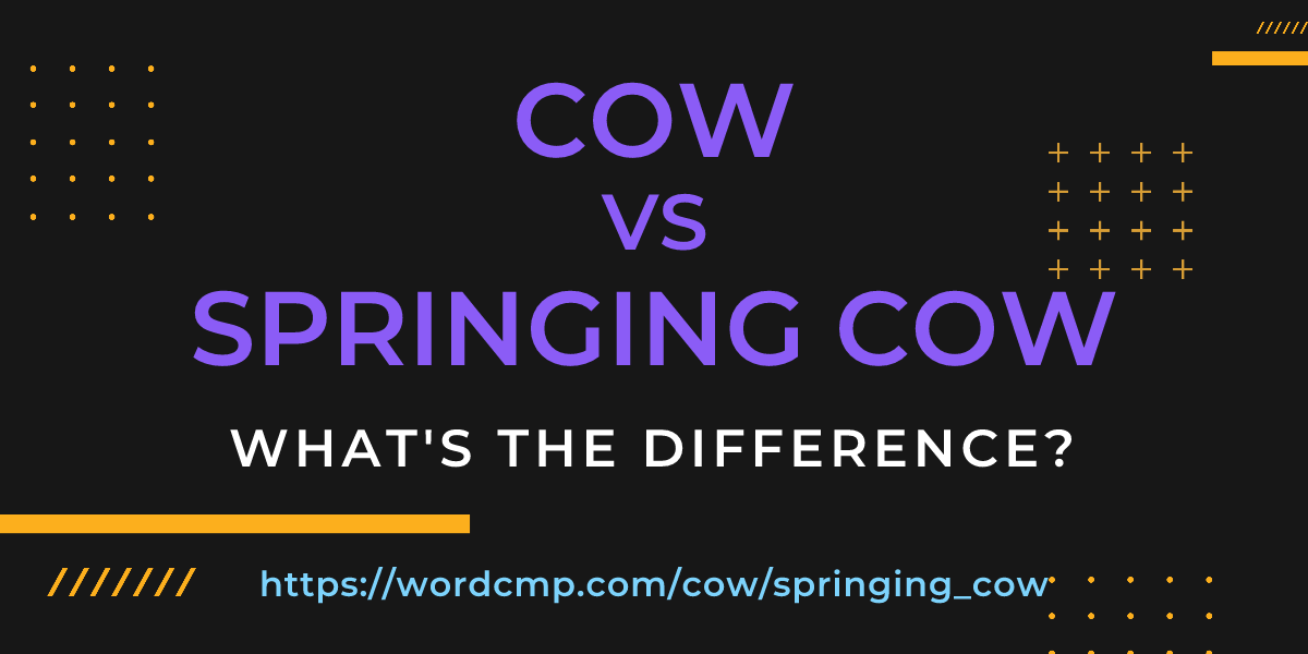 Difference between cow and springing cow