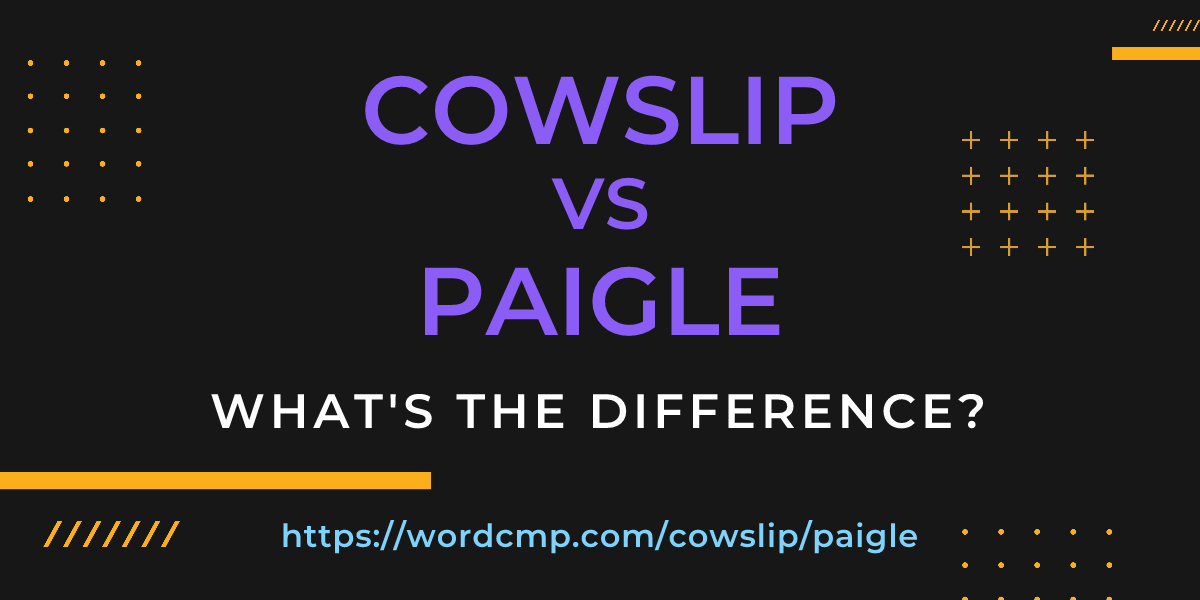 Difference between cowslip and paigle