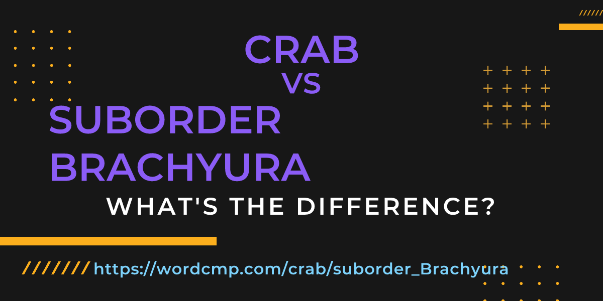 Difference between crab and suborder Brachyura