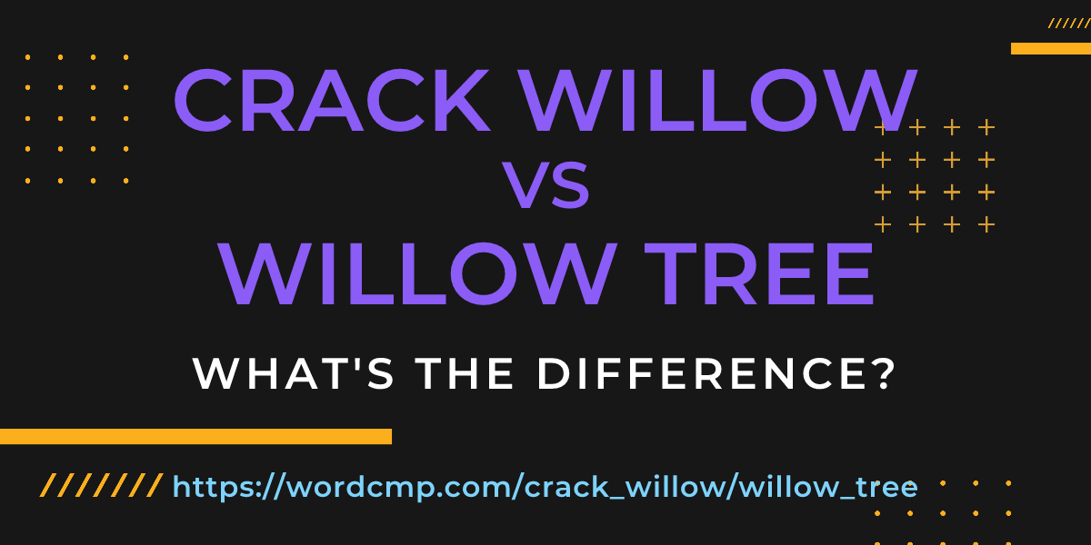 Difference between crack willow and willow tree