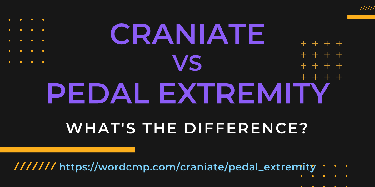 Difference between craniate and pedal extremity