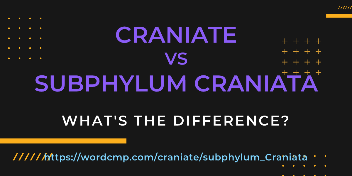Difference between craniate and subphylum Craniata