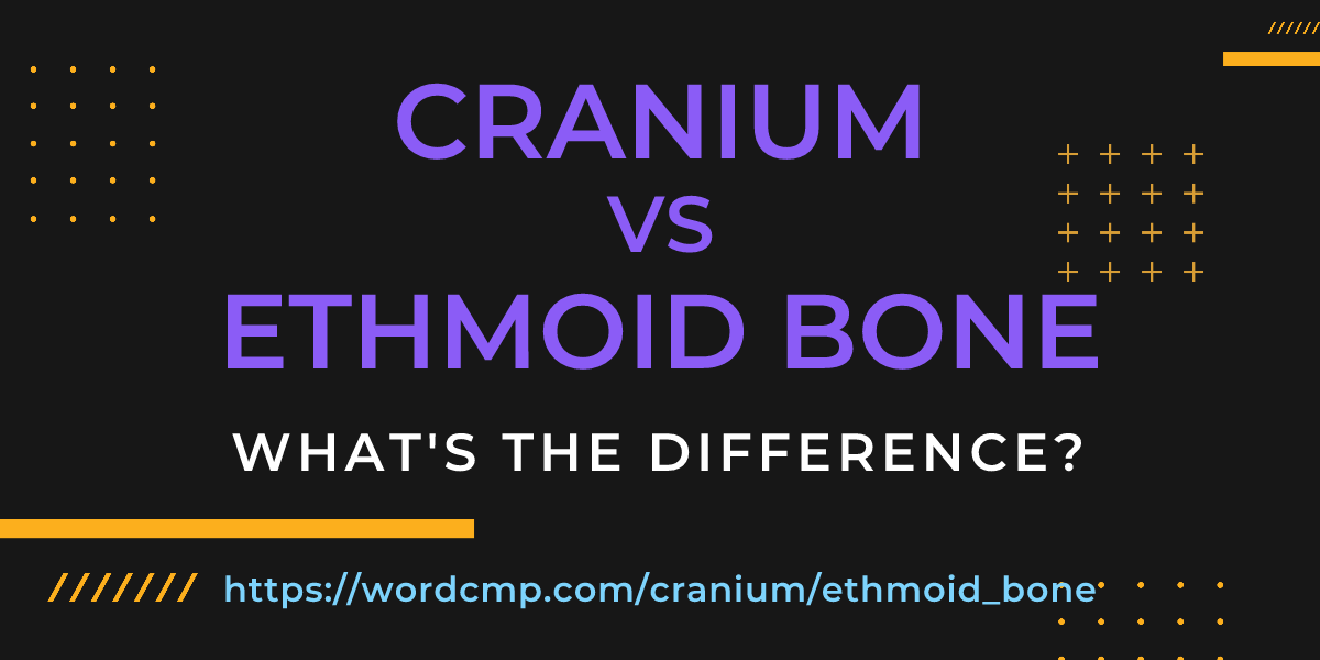 Difference between cranium and ethmoid bone