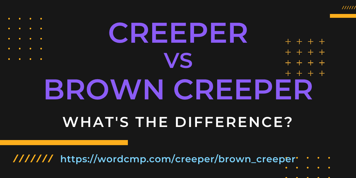 Difference between creeper and brown creeper